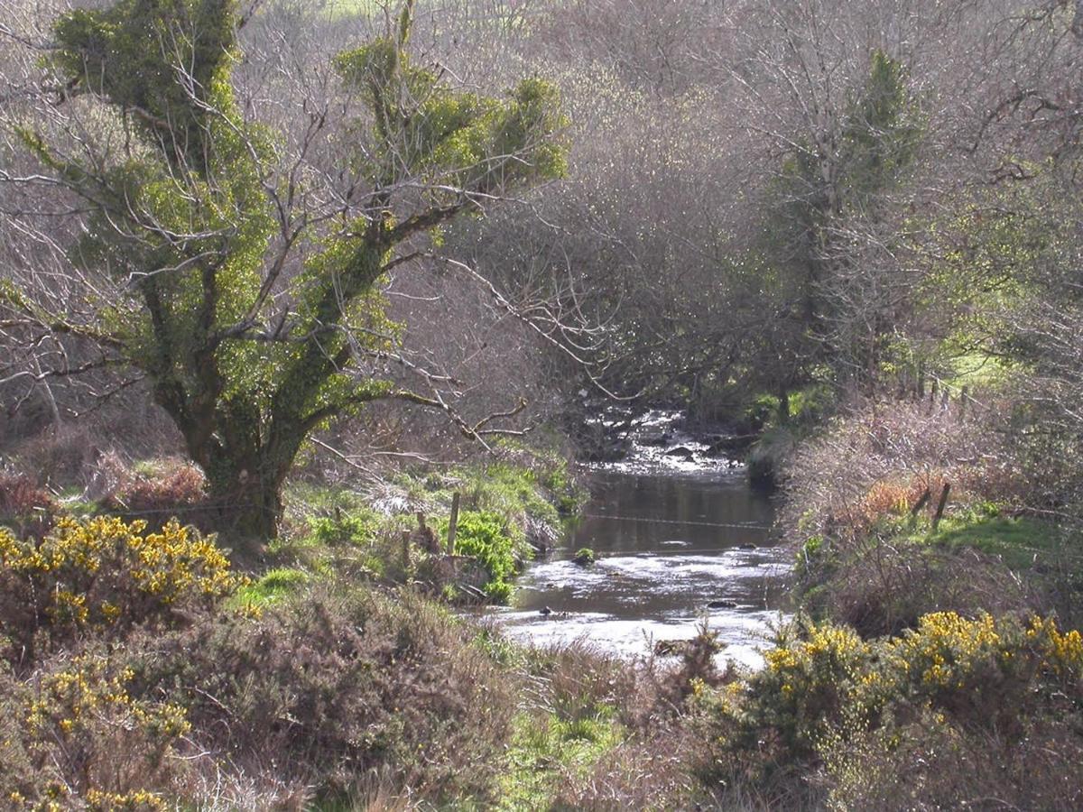 شقة Ravens Oak, West Cork بانتري المظهر الخارجي الصورة